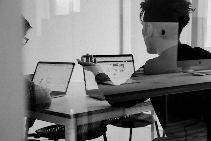 Berater analysieren Workflows und Datensysteme
